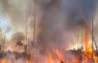 NORTÃO MT: Bombeiros prendem quatro suspeitos flagrados provocando incêndio florestal em Nova Santa Helena