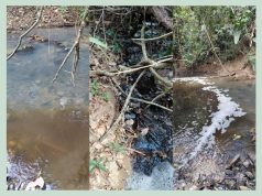 IRREGULARIDADE AMBIENTAL: Promotoria de Justiça executa TAC e cobra R$ 1 milhão de frigorífico em Colider