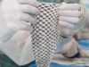 Brasil terá 1ª fábrica do mundo de curativos com pele de tilápia no Ceará; investimento de R$ 52 milhões