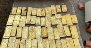 Operário de 18 anos encontra tesouro com 49 barras de ouro além de moedas ao furar parede de obra