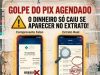 FALSO PIX AGENDADO: Homem é preso após praticar golpe para levar mercadorias sem pagar em comércios de MT
