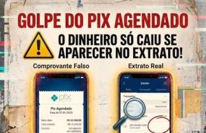 FALSO PIX AGENDADO: Homem é preso após praticar golpe para levar mercadorias sem pagar em comércios de MT