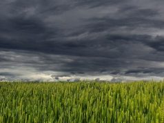 Ciclone se afasta, mas frente fria ainda traz chuva e trovoadas