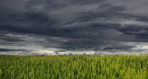 Ciclone se afasta, mas frente fria ainda traz chuva e trovoadas