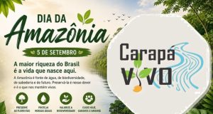 🌿 Dia da Amazônia – 5 de setembro 🌿