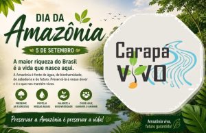 🌿 Dia da Amazônia – 5 de setembro 🌿