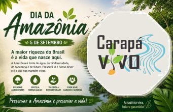 🌿 Dia da Amazônia – 5 de setembro 🌿
