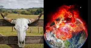 Estudo prevê até 13,3 mil mortes no Brasil com calor do Super El Niño