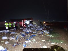 Moradores saqueiam carne de carreta tombada na BR/163 na noite desta sexta-feira(04)