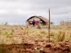Cai número de assassinatos no campo, mas aumenta o de conflitos