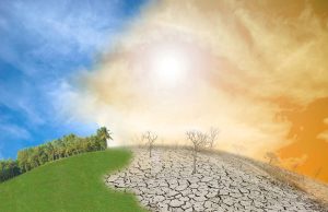 El Niño vai ficar muito forte e mudar o clima até 2027; alerta WMO