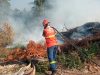 Bombeiros combatem nesta segunda-feira(07) três incêndios florestais, um deles no Nortão de MT
