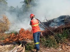 Bombeiros combatem nesta segunda-feira(07) três incêndios florestais, um deles no Nortão de MT