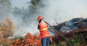 Bombeiros combatem nesta segunda-feira(07) três incêndios florestais, um deles no Nortão de MT