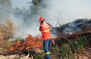 Bombeiros combatem nesta segunda-feira(07) três incêndios florestais, um deles no Nortão de MT