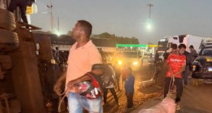 Caminhão tomba e porcos são saquedos; motorista ficou ferido e foi socorrido