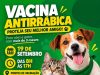 Colíder realiza campanha de vacinação antirrábica para cães e gatos neste sábado(19).