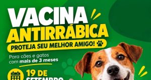 Colíder realiza campanha de vacinação antirrábica para cães e gatos neste sábado(19).
