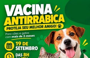 Colíder realiza campanha de vacinação antirrábica para cães e gatos neste sábado(19).
