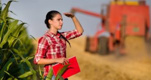 Invenções de agricultoras impressionam em prêmio mundial