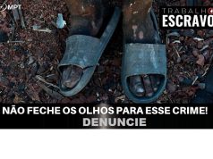 TRABALHO ESCRAVO: três empresários de Mato Grosso são incluídos na Lista Suja