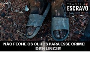 TRABALHO ESCRAVO: três empresários de Mato Grosso são incluídos na Lista Suja