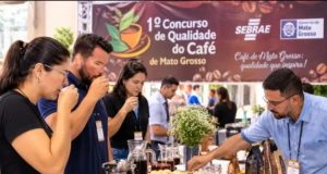 CONCURSO MELHORES CAFÉS: evento no Norte de MT reunirá produtores de 16 municípios no sábado(31)