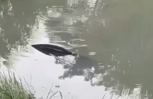 Mulher e duas crianças são resgatadas após carro cair em lago e ficar submerso na BR-163