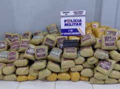 Super maconha escondido em carga de milho é apreendida pela PM em MT